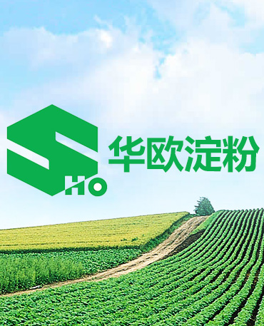 內蒙古自治區黨委督查室聯(lián)合調研組深入華歐淀粉公司調研