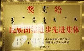 民族團結進(jìn)步先進(jìn)集體 