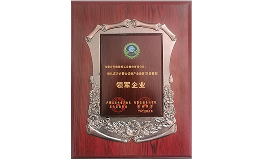 內蒙古優(yōu)勢產(chǎn)業(yè)集群（馬鈴薯類(lèi)）領(lǐng)軍企業(yè)