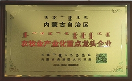 自治區農牧業(yè)產(chǎn)業(yè)化重點(diǎn)龍頭企業(yè)